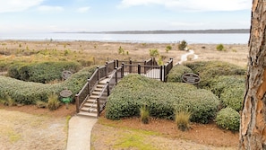 A wooden staircase leading to a viewing platform with signs about ecological reasons to keep off dunes. - Oceanfront, Updated, Open Plan & Super Stylish (Hilton Head Island)
