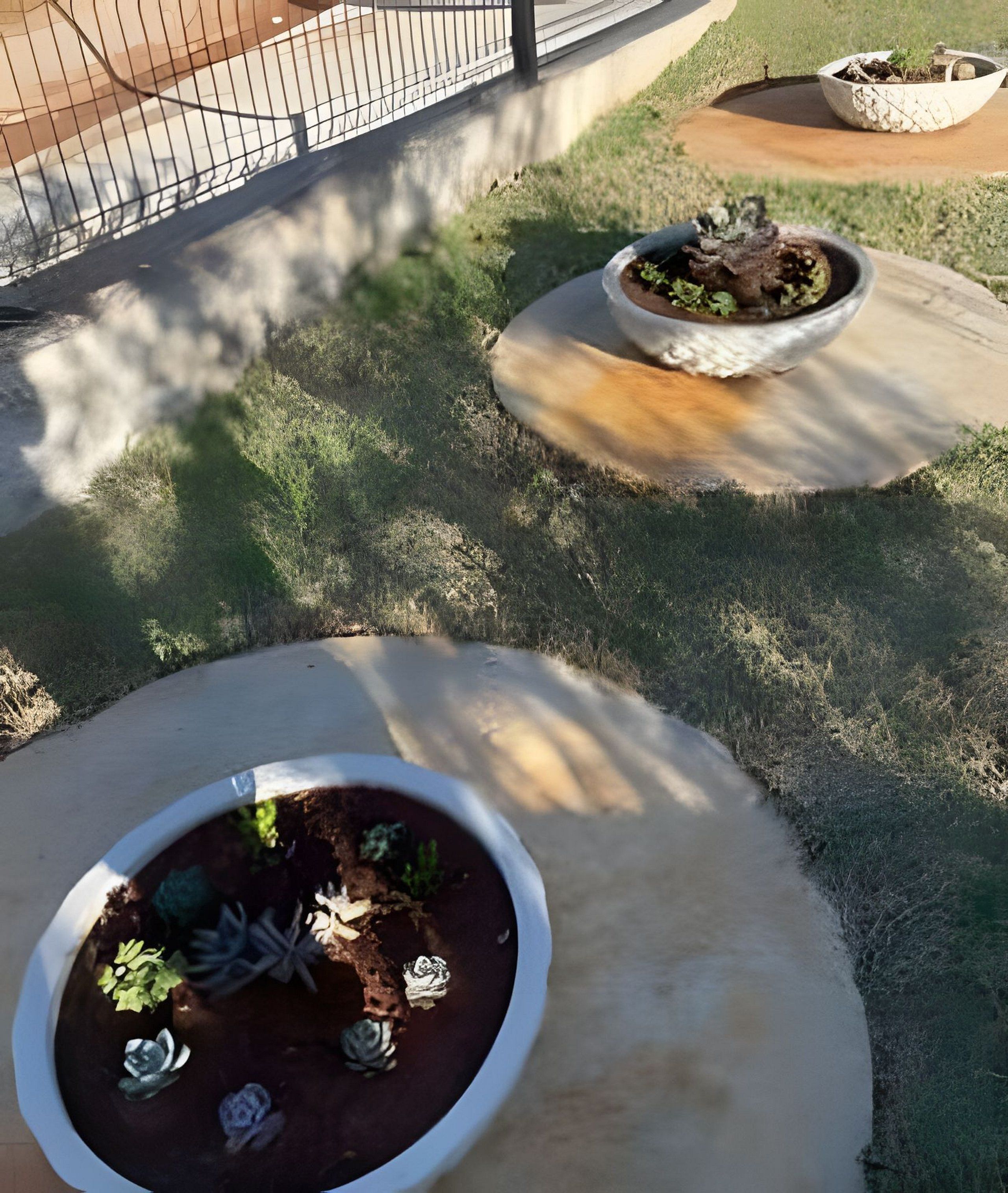 Un espacio exterior pavimentado con macetas circulares que contienen diversas plantas.