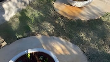 A paved outdoor area with circular planters containing various plants.