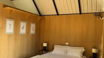 WiFi (free)