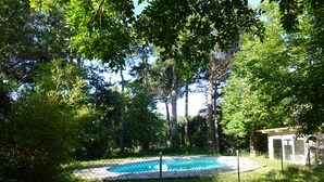 Ein Pool, umgeben von Bäumen und einem eingezäunten Bereich.