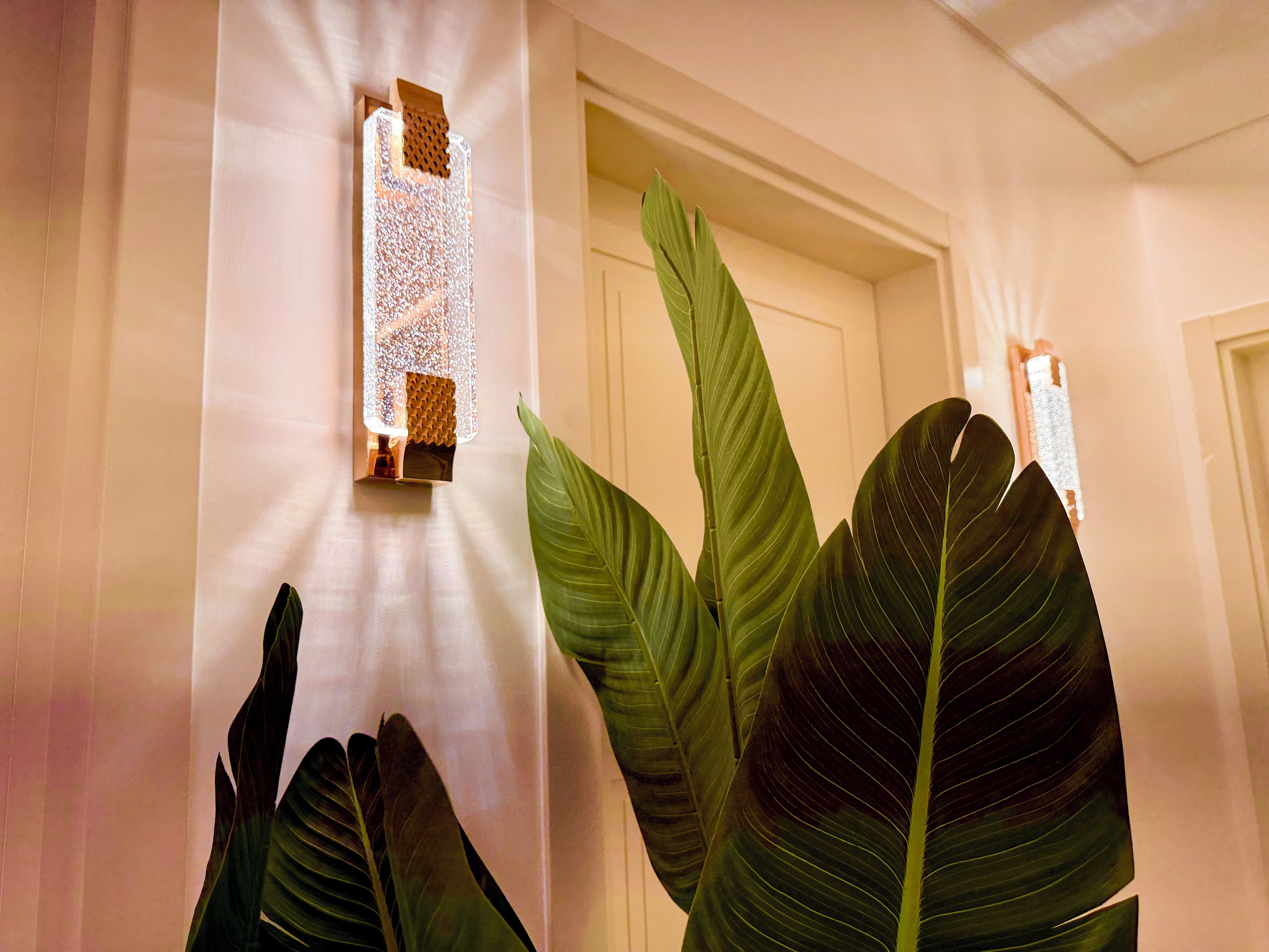 A hallway with a door, a wall-mounted light fixture, and large green leaves.