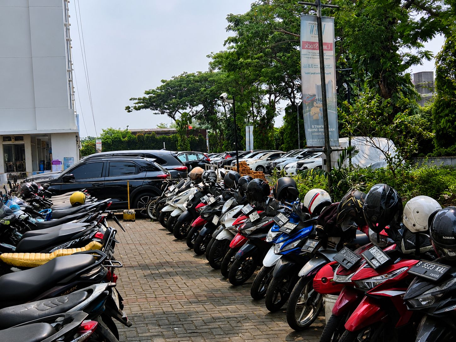 A row of parked motorcycles and cars in a parking lot with trees and a building in the background.
