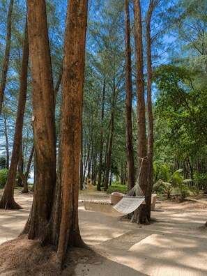 A hammock between trees in a forested area. - Studio apartment in tranquil Tambon Mai Khao with AC (Tambon Mai Khao)