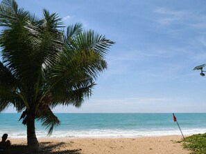 Une plage avec un palmier et un drapeau rouge planté dans le sable.