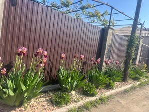 Un jardin agrémenté de plantes à fleurs et doté d’une clôture en bois.
