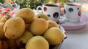 A table with a bowl of yellow fruits, two white cups with colorful patterns, and a pink saucer. - Veni Vedi guesthouse  (Vedi)