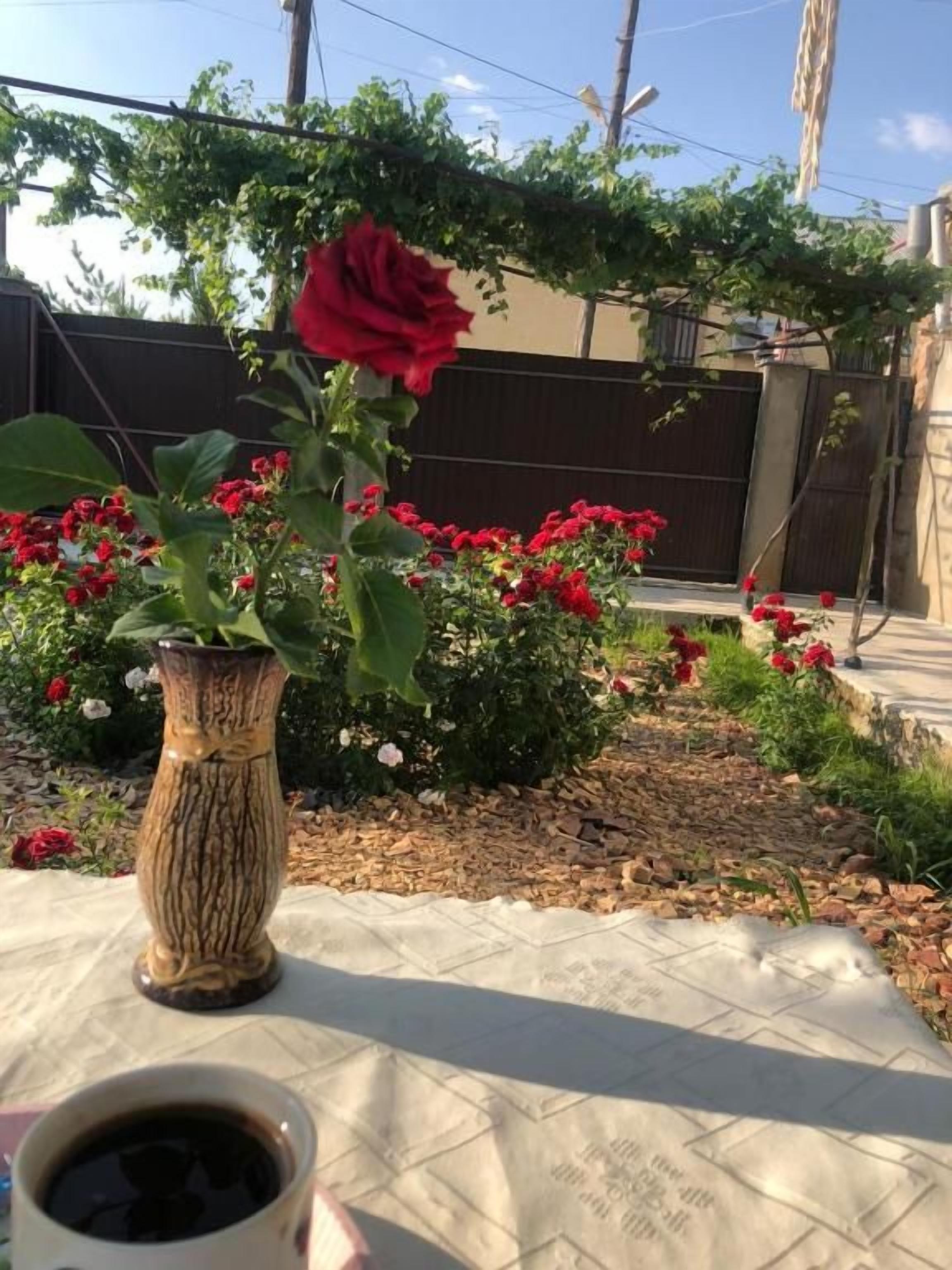 Un jardín con un jarrón de flores y una taza de café sobre una mesa.
