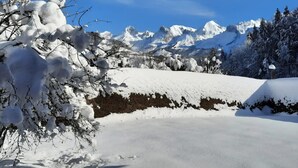 Schneebedeckte Landschaft mit blauem Himmel, einem verschneiten Gebirgszug und einem mit Schnee beladenen Baum im Vordergrund.