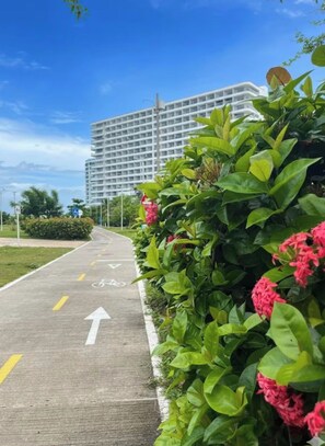 A pathway with directional arrows, a bicycle lane, and a hedge with pink flowers. - Quaint studio with AC in vibrant Cartagena de Indias (Cartagena de Indias)