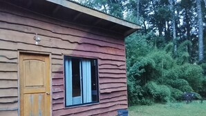 A rustic cabin with a wooden door and window, surrounded by a grassy yard and dense forest. - Río Liucura Cabins for Two People (Pucón)