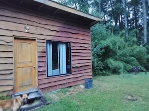 Eine rustikale Holzhütte mit Holztür und -fenster, umgeben von einem grünen Hof und dichtem Wald.