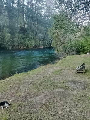 A river with dense foliage on one side and a grassy area with a wooden structure on the other.