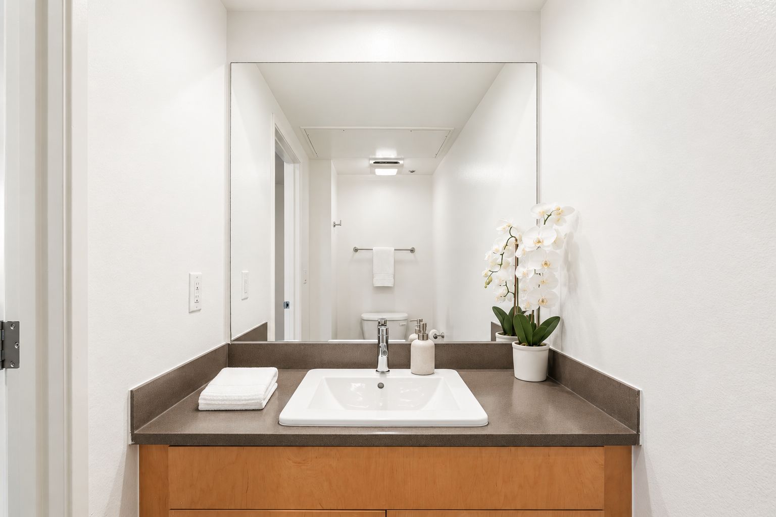 A modern bathroom with a white sink, a mirror, and a potted orchid.
