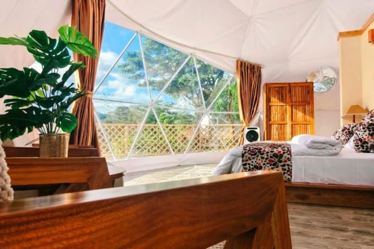 Habitación tipo tienda de campaña con una cama, un escritorio de madera, una planta y vistas al exterior.