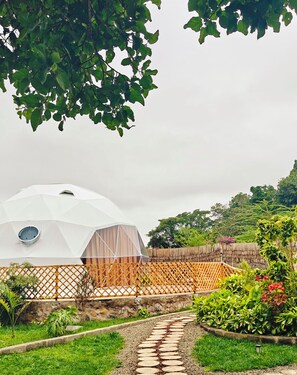 Ảnh chưa phân loại, 5 trong số 25 ảnh, nút