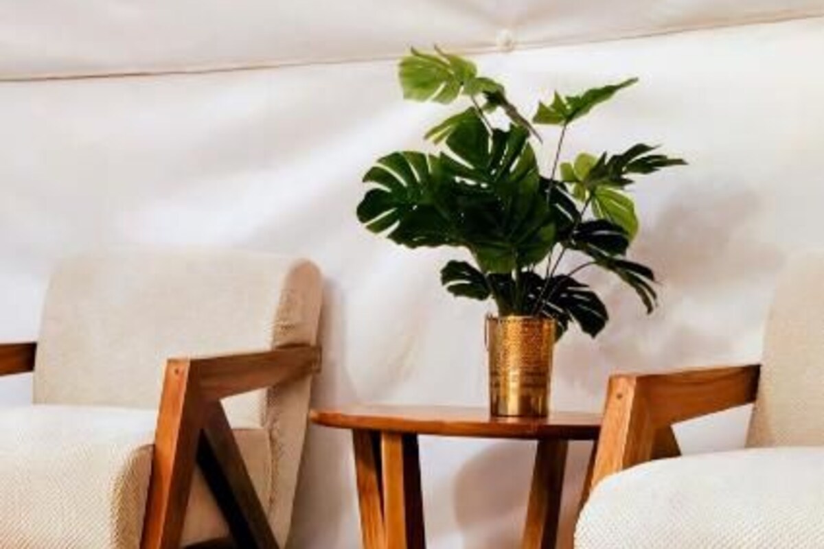 Tent, Mountain View | Interior