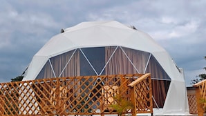 Una estructura de cúpula geodésica con una valla enrejada al frente.