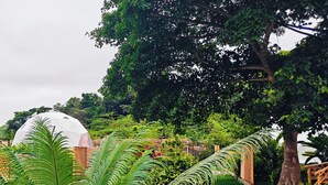 Property grounds - Nekoli Glamping (Arusha Region)