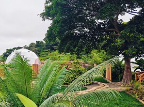 Property grounds - Nekoli Glamping (Arusha Region)