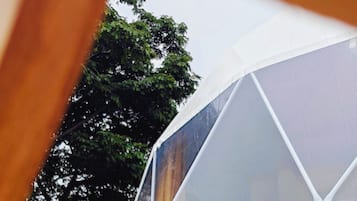 A transparent geodesic dome structure with wooden chairs and a potted plant inside.