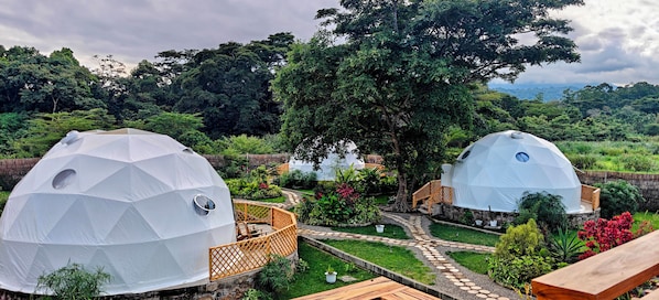 Dos estructuras de domos geodésicos con barandillas de madera y un sendero en el jardín.