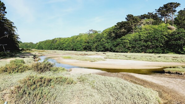 A natural landscape with a river, dense greenery, and trees. - Vrbo Property (Le Conquet)