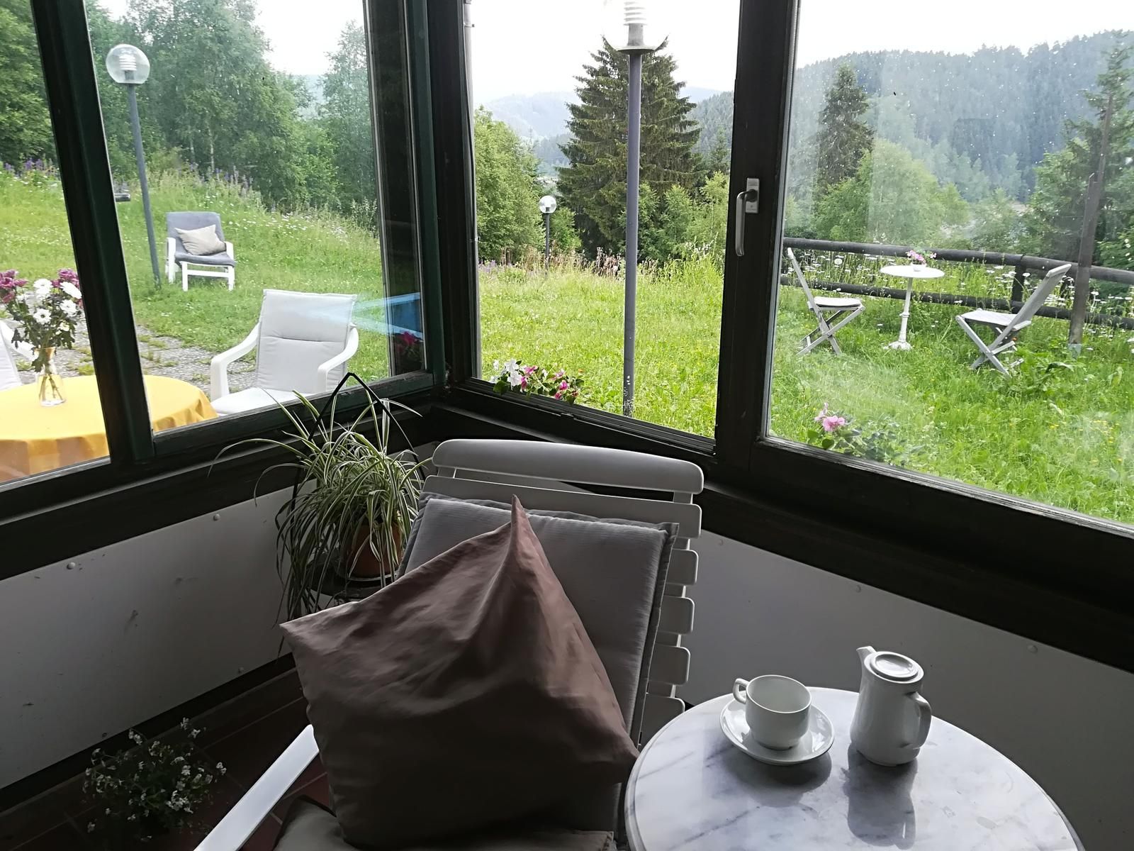 Ein Zimmer mit Blick auf eine Wiese und Bäume, ein weißer Stuhl, ein kleiner Tisch mit Tasse und Krug sowie ein Topfpflanze.