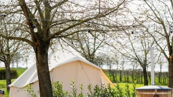 A tented accommodation with a tree in the foreground, surrounded by greenery.
