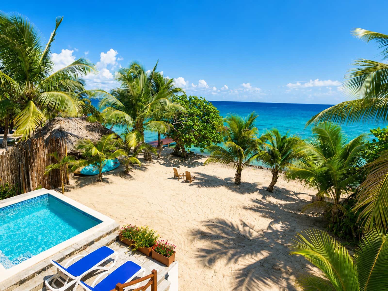 A beach with a pool, lounge chairs, and palm trees.