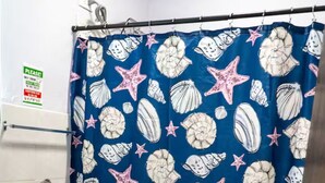 Ein Badezimmer mit blauer Duschvorhang, der eine Muschel- und Seesternmuster zeigt, einer weißen Toilette und einem kleinen Waschbecken.
