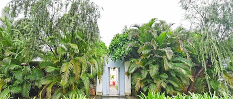 Un sendero conduce a un edificio rodeado de abundante vegetación.