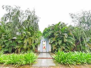 A pathway leading to a building surrounded by lush greenery.