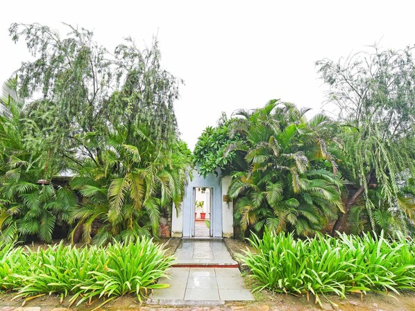 A pathway leading to a building surrounded by lush greenery.