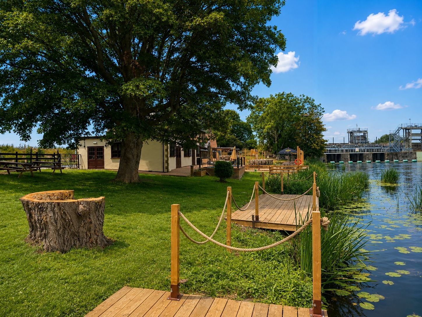 Un parque junto al río con un muelle de madera, un árbol grande y un edificio con terraza.
