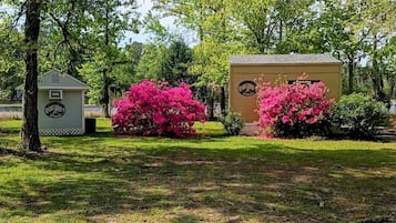 Un edificio con un cobertizo pequeño y arbustos florecientes de color rosa intenso.