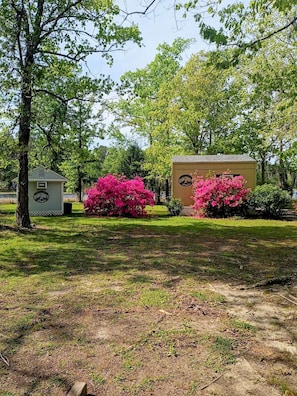 A building with a small shed and vibrant pink flowering bushes.