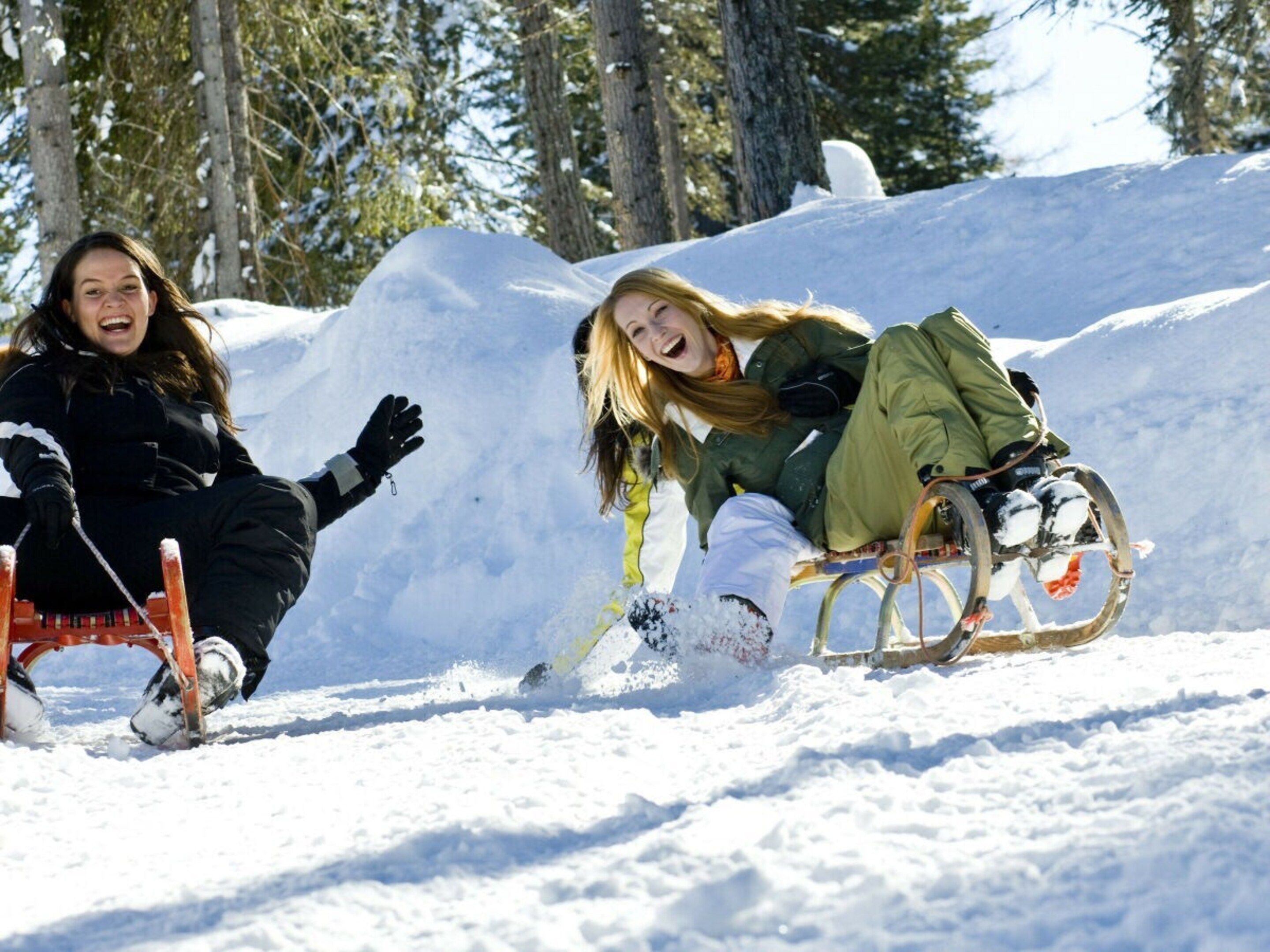 Two individuals sledding on a snowy slope with trees in the background.