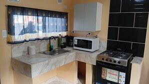 Een kleine keuken met een spoelbak, een magnetron, een kookplaat en een kastje.