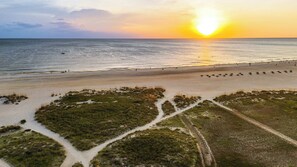 A beach with a clear path leading to the water, surrounded by vegetation. - The Baycrest | Heated Pool, Beach and Bay Access (Treasure Island)
