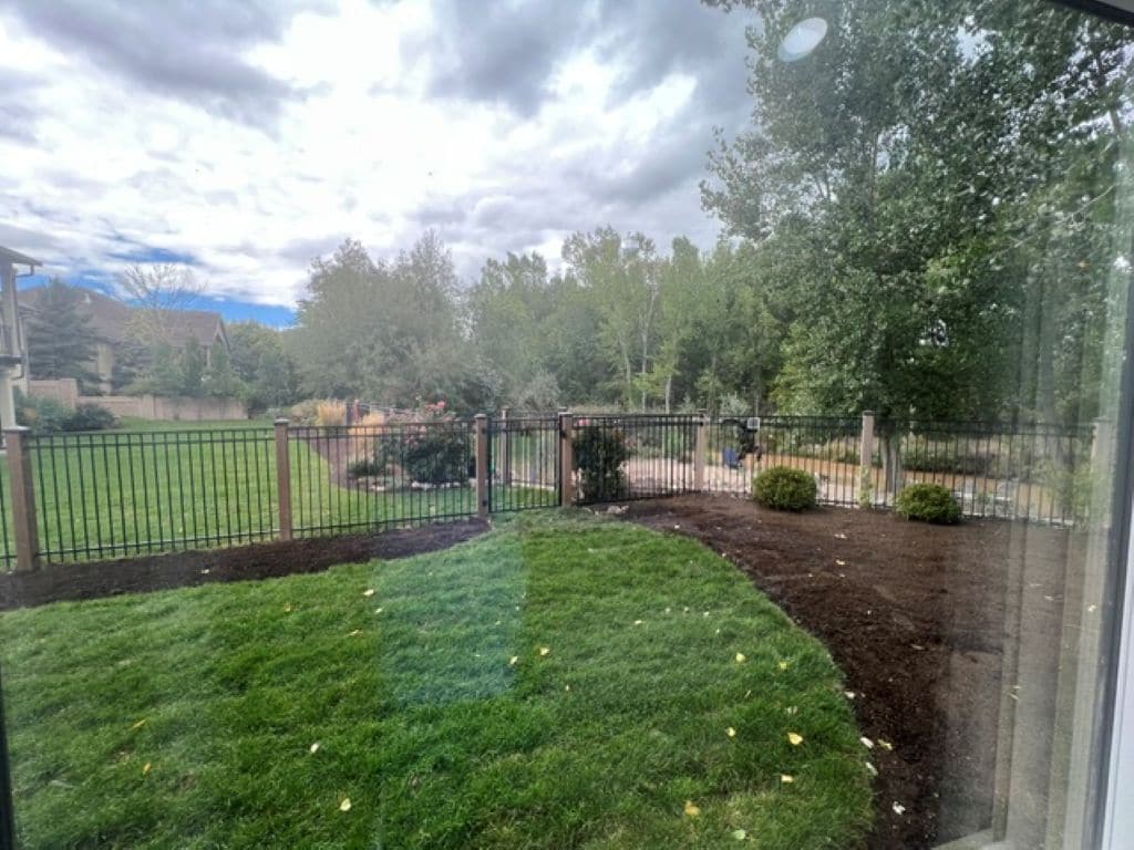Un espace extérieur clos, avec une pelouse verdoyante et des arbres.