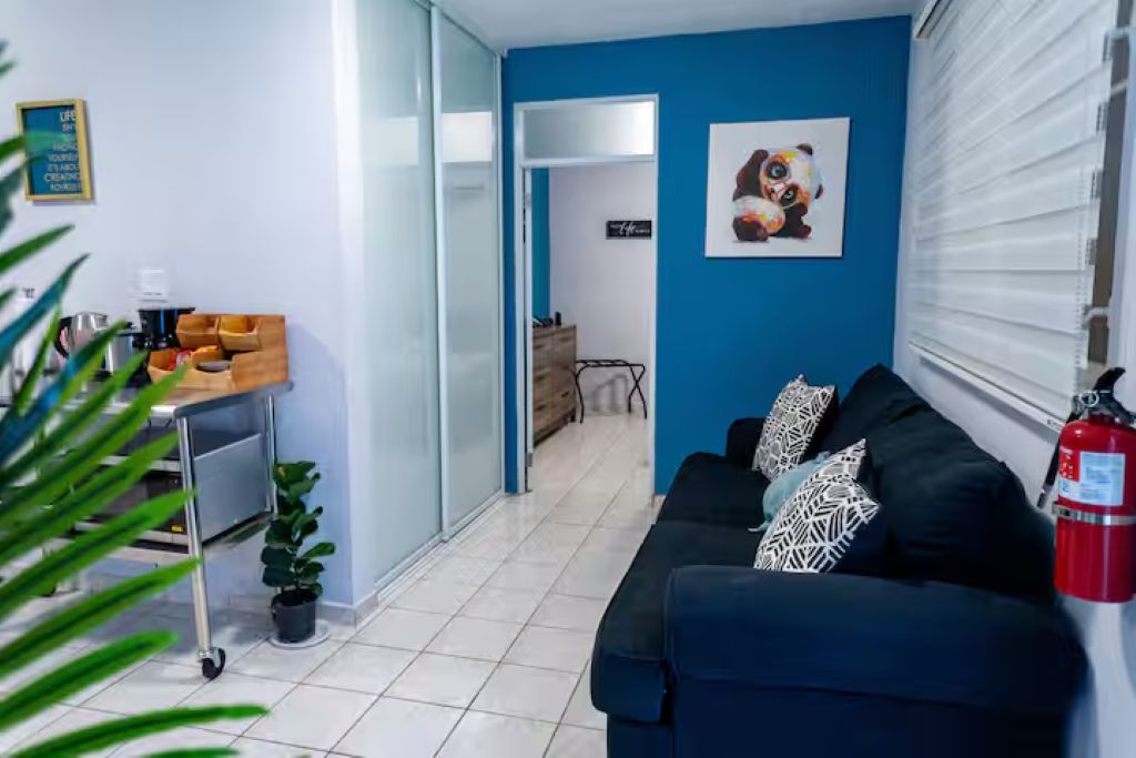 Una habitación con un sofá negro, una cafetera, una mesita con una planta y una puerta que da a otra habitación.