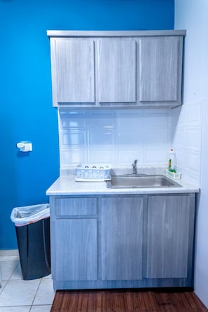 Una cocina compacta con un lavamanos, armarios y un cubo de basura.