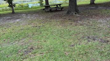 A grassy area with a picnic table under a large tree, surrounded by a pond and a park setting.