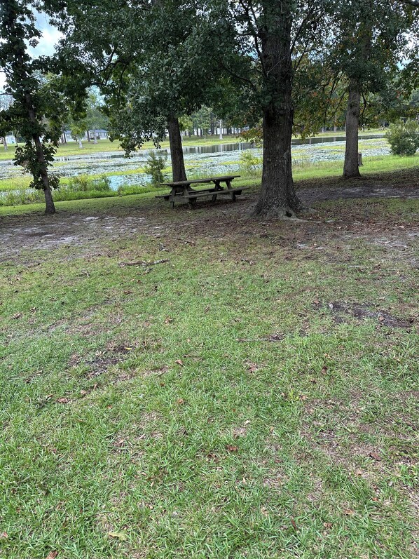 A grassy area with a picnic table under a large tree, surrounded by a pond and a park setting.