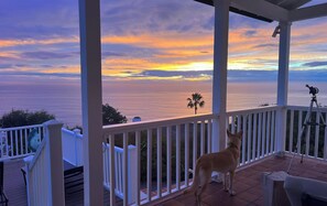A dog on a porch overlooking a sunset over the ocean. - Fabulous 3-bedroom house in Laguna Beach with breathtaking panoramic ocean views (Laguna Beach)