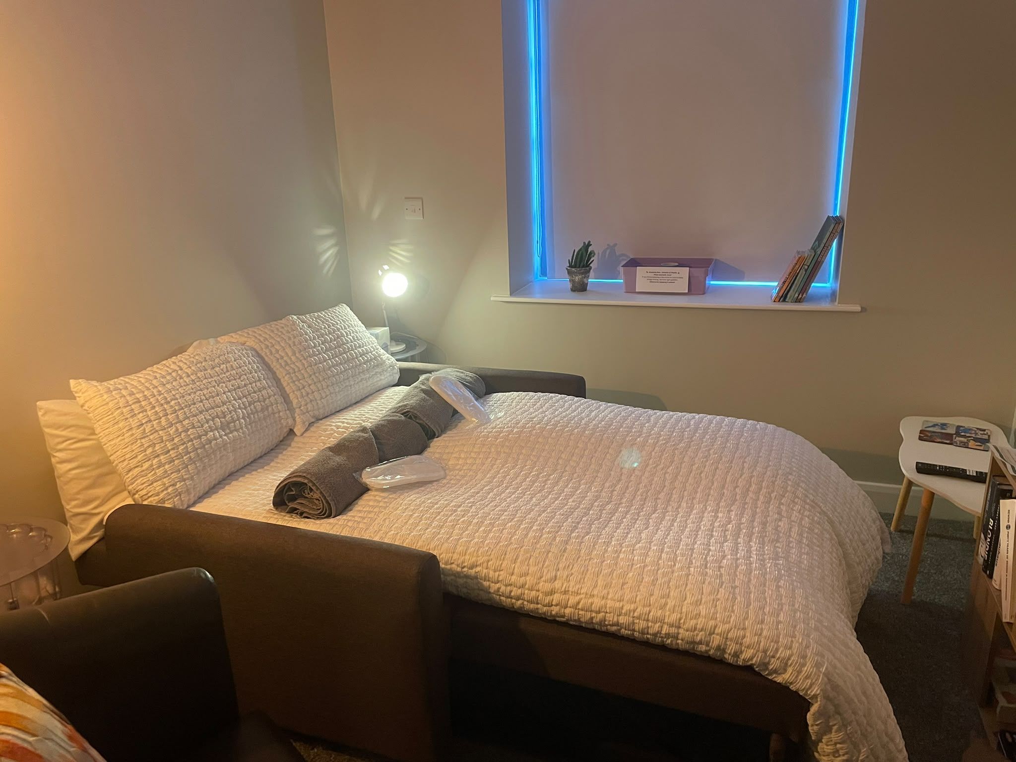 Ein Schlafzimmer mit einem Bett, einem Sessel, einem Nachttisch, einer Lampe, einem Fenster mit Blick und einem Regal mit Büchern und einer Pflanze.