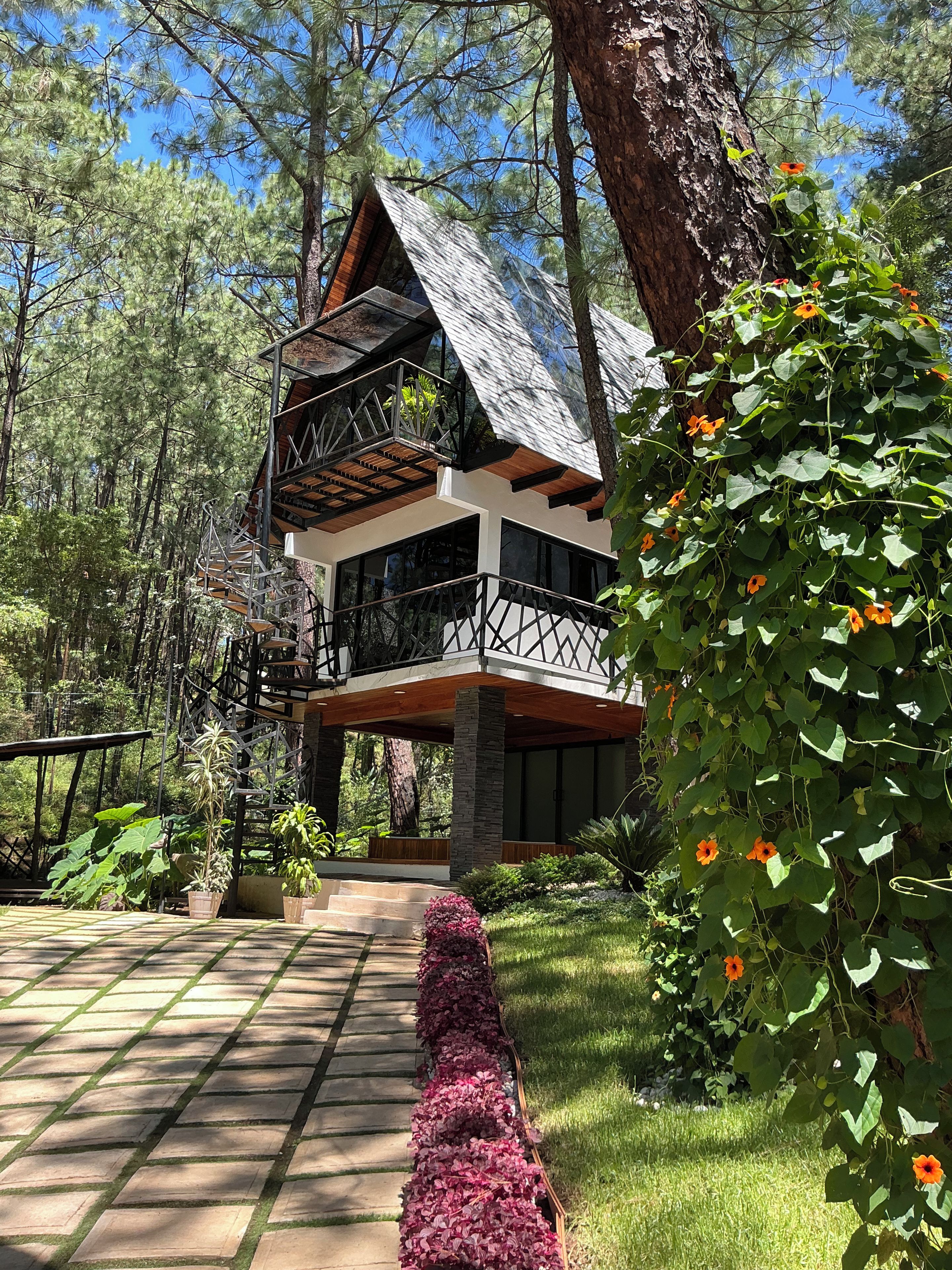 Une maison moderne dotée d’une terrasse en bois, entourée d’une végétation luxuriante et d’arbres.