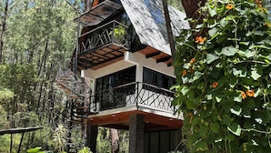 Une maison moderne dotée d’une terrasse en bois, entourée d’une végétation luxuriante et d’arbres.