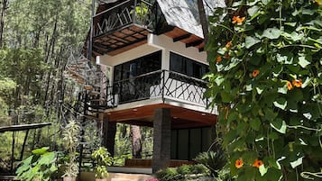 Une maison moderne dotée d’une terrasse en bois, entourée d’une végétation luxuriante et d’arbres.
